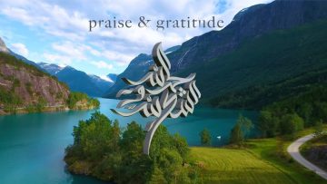 Praise & Gratitude