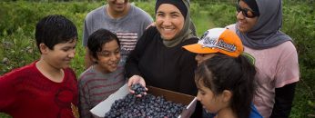 Salam Mama – Blueberries at the CSA