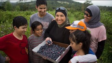 Salam Mama – Blueberries at the CSA