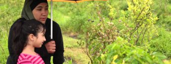 Salam Mama – Blueberries at the CSA