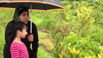 Salam Mama – Blueberries at the CSA