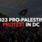 2023 DC Pro-Palestine Protest