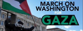 2024 March in DC for Gaza