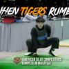 When Tigers Rumble