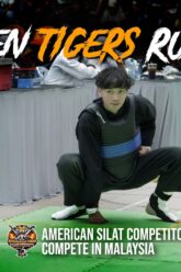 When Tigers Rumble