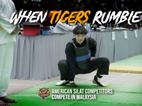 When Tigers Rumble