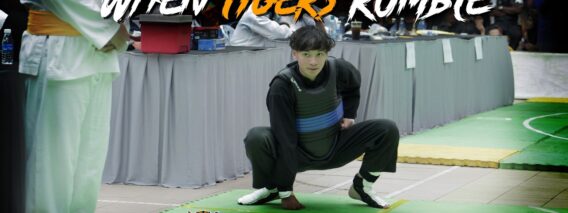 When Tigers Rumble