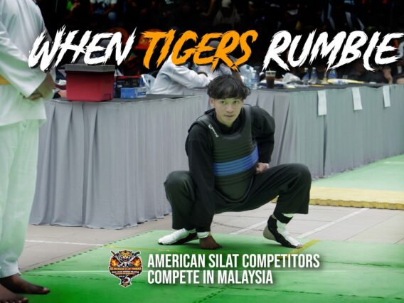 When Tigers Rumble